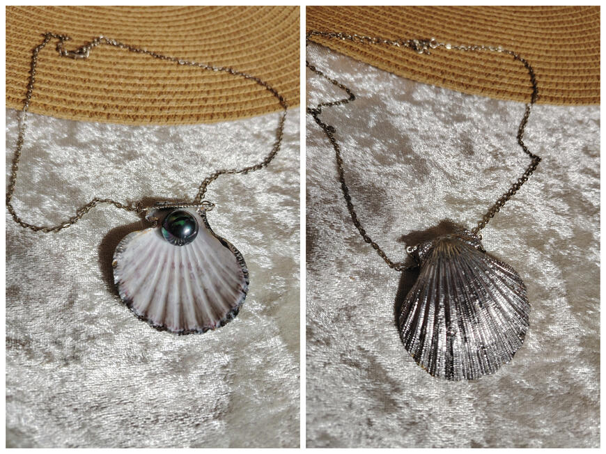 KP0009 ....25 € Echte Muschel mit Süßwasser Zuchtperle